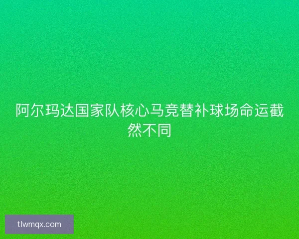 阿尔玛达国家队核心马竞替补球场命运截然不同