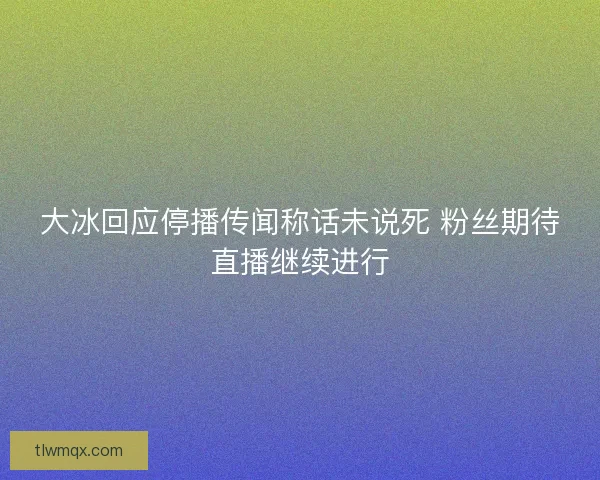 大冰回应停播传闻称话未说死 粉丝期待直播继续进行