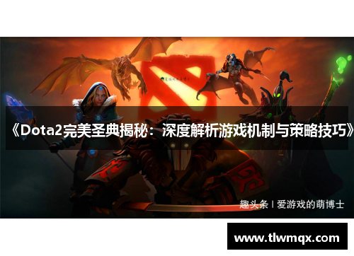 《Dota2完美圣典揭秘:深度解析游戏机制与策略技巧》