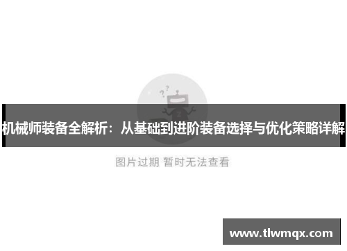 机械师装备全解析：从基础到进阶装备选择与优化策略详解