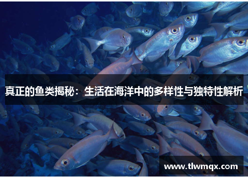 真正的鱼类揭秘:生活在海洋中的多样性与独特性解析
