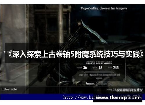 《深入探索上古卷轴5附魔系统技巧与实践》